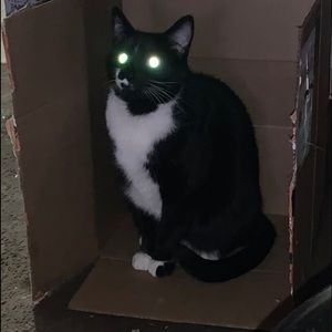 Meet your Posher, Karen